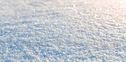 The snowy textured background sparkles in the sunlight.