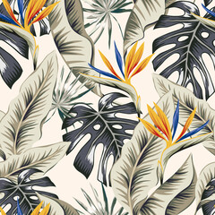 Tropical strelitzia flowers, monstera, banana palm leaves, light background. Vector seamless pattern. Jungle foliage illustration. Exotic plants. Summer beach floral design. Paradise nature