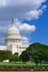 Fototapeta premium US Capitol Building - Washington DC United States
