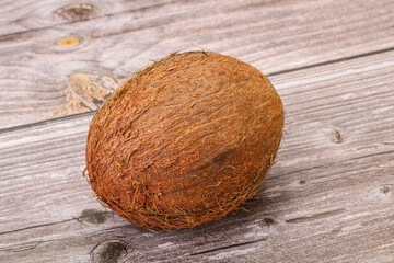 Tropical brown coconut over background