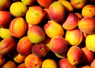 Juicy and ripe fruits. Bowl of peaches