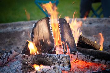palone drewno w ognisku