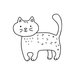 Vector doodle illustration of cute cat.