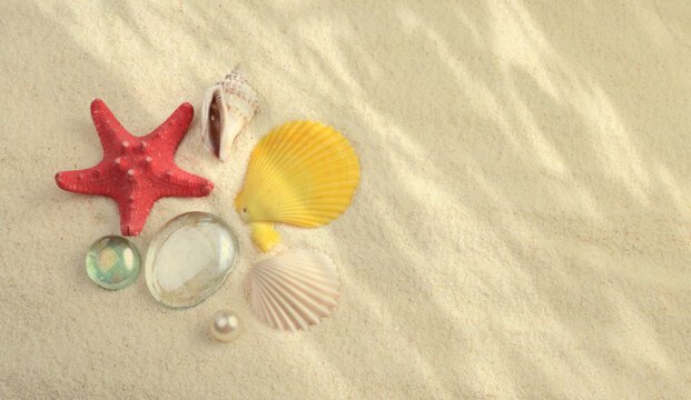 Starfish and shell on sand with copy space. Light and shadows horizontal background. Beige vintage color tone. Flat lay; top view.