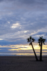 2 palms in Beach sunset, Canet de Berenguer, Valencia