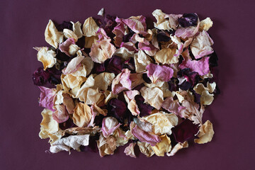 Dried rose petals of different colors folded in the form of a picture, in a rectangle on a burgundy background. Top view..