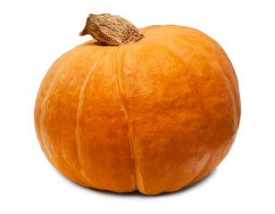 Orange pumpkin isolated on white background