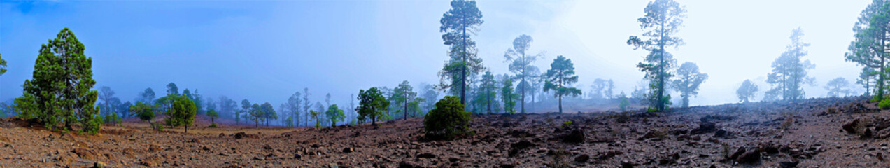 Alone in the wild nature © Johan