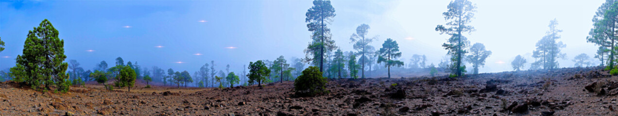 Panorama photo of beautiful landscape in mist