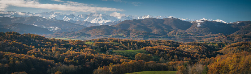 Fototapeta na wymiar Landscape of southwestern France in autumn with the Pyrenees mountains in the background 