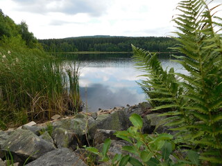 surface of a freshwater reserervoir although reservoir is officially named Vodní dílo Obecnice,...