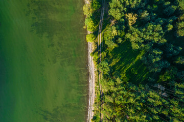 Bird's eye view of the shallow water and green forest in a sunny day.