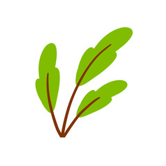 Branch with green leaves. Plant design. Element of wood and nature.