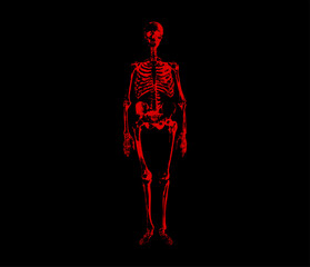 illustration of a red skeleton on a black background