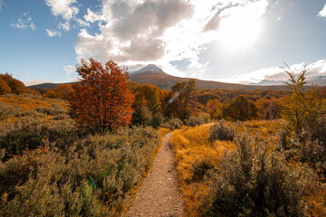 Autumn trail in Ushuaia