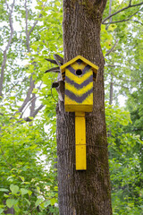 The funny painted birdhouses on the tree. Handmade wooden nesting box.