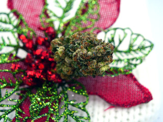 Christmas Cannabis Present Marijuana Bud holiday xmas decoration Flower celebrate	