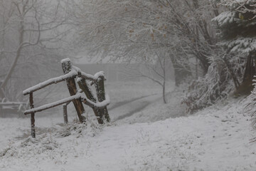 Winter in Croatia. Snow. Fog.