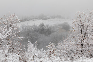 Winter in Croatia. Snow. Fog