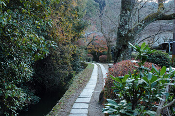 京都　哲学の道の風景
