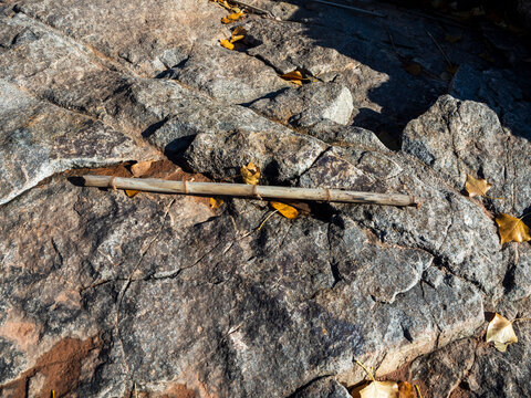 textura suelo de piedra con una ca&ntilde;a