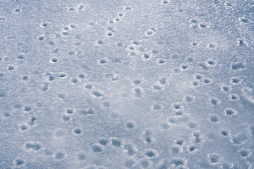 Frozen ice surface of a lake in winter, background texture