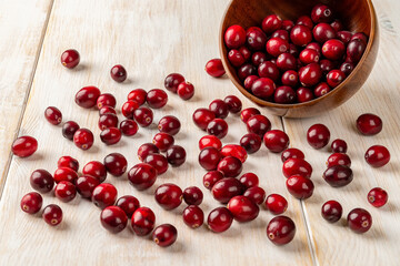 Fresh red cranberries are scattered from a brown wooden bowl on the white rustic table. Ingredient for cooking cranberry sauce and dried cranberries. Ripe wild berries for healthy eating.