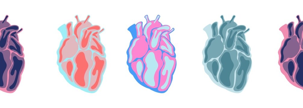 Continuous line heart shape border with realistic human anotomic heart.