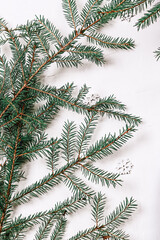 Minimalistic Christmas background. Fir branches and snowflakes on a white background
