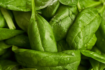 Fresh baby spinach
