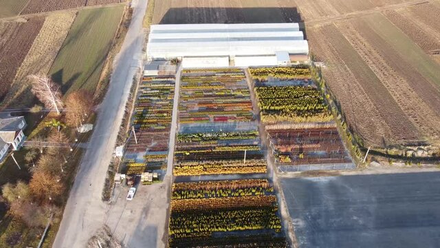 View of the farm for growing ornamental trees 