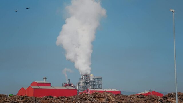 Industrial zone thick white smoke in morning. 