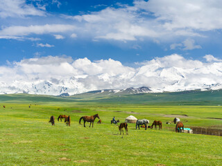 Fototapeta premium Traditional yurt in the Alaj valley with the Transalai mountains with Pik Kurumdy (6614) in the background. The Pamir Mountains. Central Asia, Kyrgyzstan