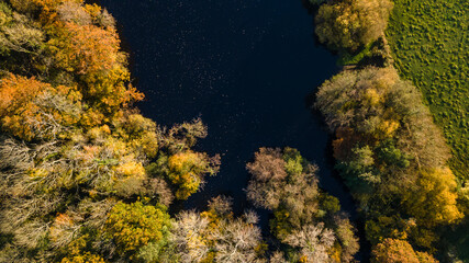 Atumn colours by the lake near Steyning, West Sussex, UK.