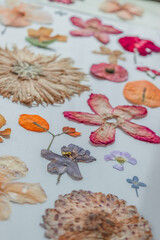 Close up of a colorful collage made with pressed flowers over a light table