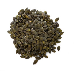 marrow seed in studio