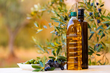 Two bottles with olive oil and fresh berries in salad bowls on wooden table on background with olive grove..