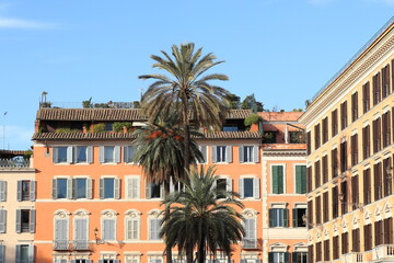Naklejka premium Piazza di Spagna Square View with Buildings and Palm Trees in Rome, Italy
