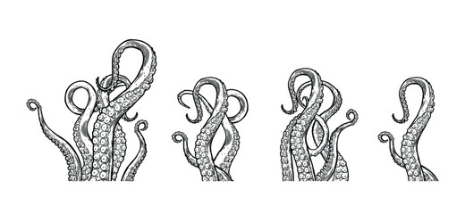 Tentacles of octopus, vector hand drawn collection of illustrations. Black and white engraving style drawings. Tentacle straight and with rings in different angles.
