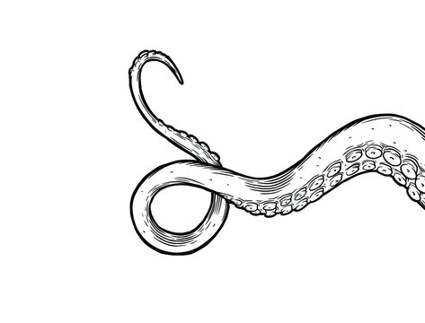 Tentacles of octopus, vector hand drawn collection of illustrations. Black and white engraving style drawings. Tentacle straight and with rings in different angles.