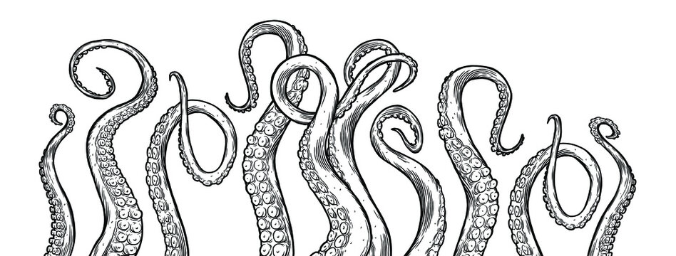 Tentacles of octopus, vector hand drawn collection of illustrations. Black and white engraving style drawings. Tentacle straight and with rings in different angles.	