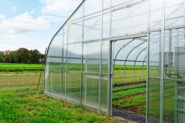 Obraz premium Greenhouse in the afternoon light 4