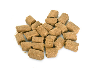 horse food in studio