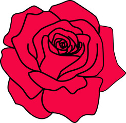 rosa