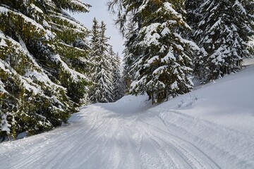 Winter Snowy Mountain Landscape