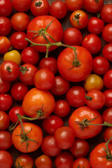 vegetable concept many of red, scarlet, or yellow variety colors of tomatoes, varying in shape from almost spherical to oval and elongate to pear-shaped
