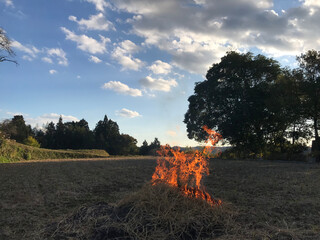 野焼き