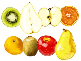 手描き水彩の冬の果物イラストラインセット