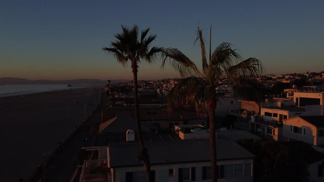 sunset flying counter clockwise around 2 palm trees in Hermosa Beach California