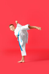 Little boy practicing karate on color background © Pixel-Shot